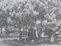 foto bufera di neve del 24 gennaio 2004 2